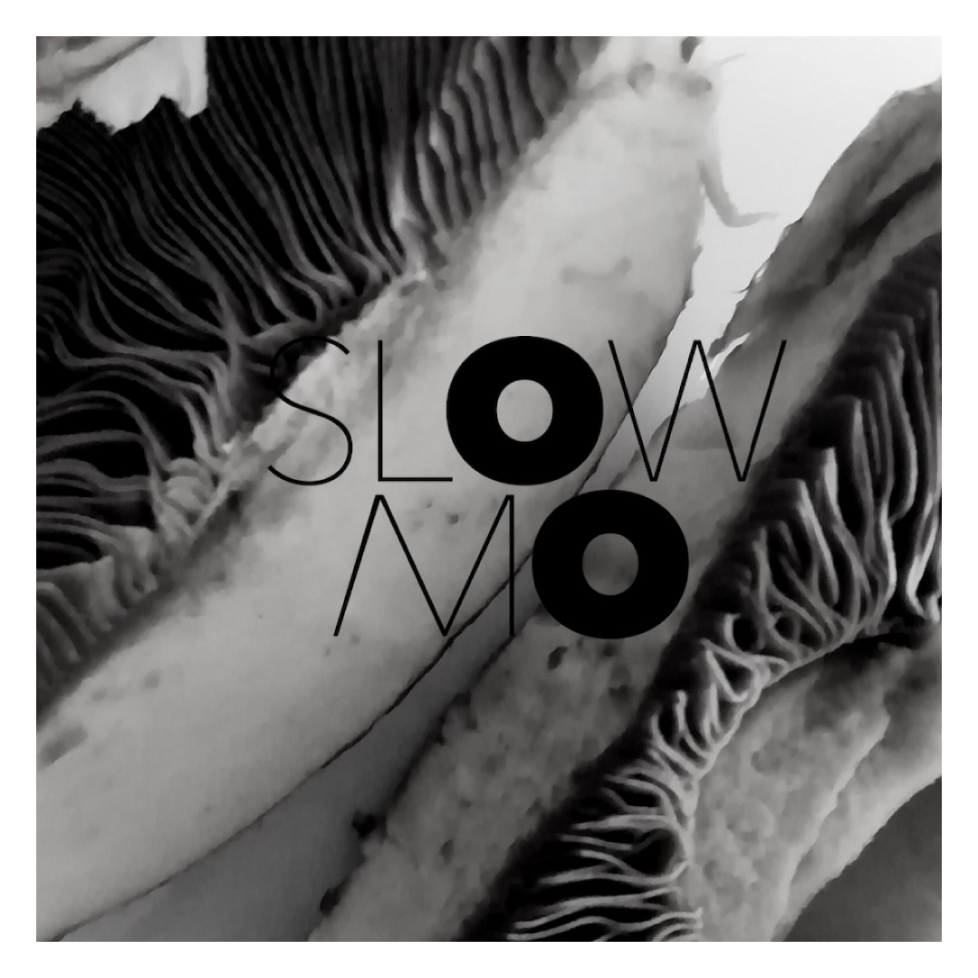 Slow Mo, 12th May w/ Don Paula