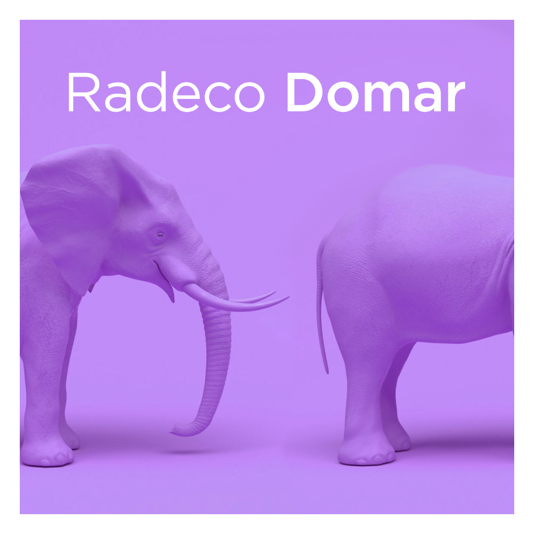 Conexiones, 14th Dec w/ Radeco Domar