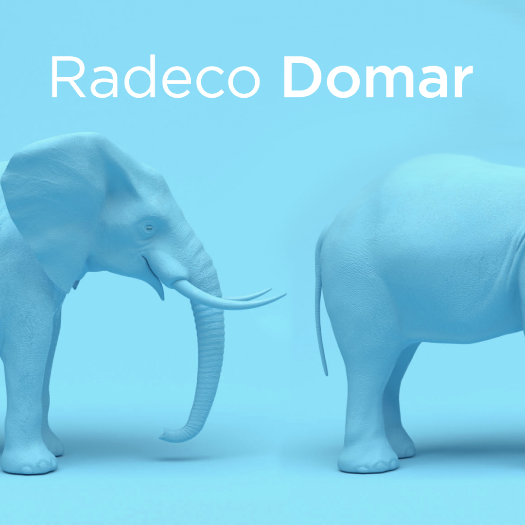 Conexiones, 18th Jan w/ Radeco Domar